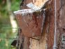 dsc07315.jpg - 